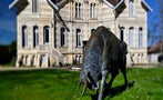Read: Bordeaux Negociant Fined over Labeling