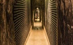 Read: US Sparkling Wine Ready to Roll