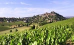 Read: The World's Most Expensive Sauvignon Blanc