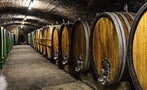 Read: The World's Most Expensive Rieslings
