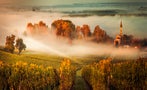 Read: The World's Most Expensive Bordeaux