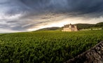 Read: The World's Most Expensive Wines