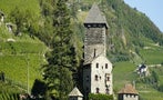Read: The Unlikely Rise of Premium Pinot Grigio
