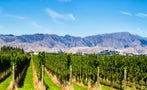 Read: The World's Best New Zealand Wines