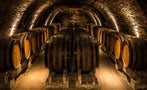 Read: Italy's Most Wanted Wines