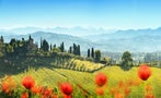 Read: Chianti Classico: Best in Class
