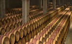 Read: Bordeaux 2023: Prepare to be Dazzled