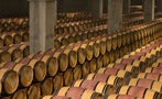 Read: Bordeaux 2023: Prepare to be Dazzled