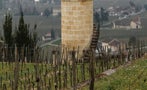 Read: Bordeaux 2023: Right Bank Beauty