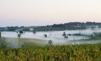 Read: Bordeaux 2023: Sweet Smell of Success