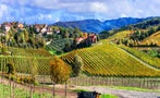 Read: The World's Best Value Tuscan Wines for 2024