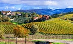 Read: The World's Best Value Tuscan Wines for 2024