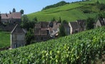 Read: The Most Expensive Pinot Noirs of 2024