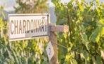 Read: The World's Most Wanted Chardonnays
