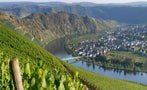Read: The World's Most Wanted Rieslings