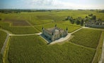 Read: The Médoc Goes White