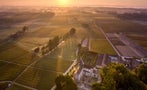 Read: Hollywood Eyes Yquem Heist Movie