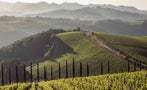 Read: Chianti Classico Still a Value Bet