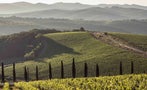 Read: Chianti Classico Still a Value Bet