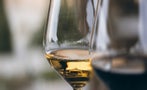 Read: The Most Wanted White Burgundies of 2025
