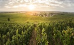 Read: Top Burgundy Appellation Expands
