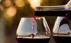 Read: The Best Value Merlots of 2025