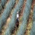 Magazine The World&#039;s Best Tequilas of 2025