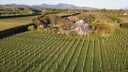 Dry River Wines