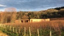Domaine du Pelican