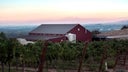 Owen Roe Winery