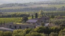 Azienda Agricola Caprili