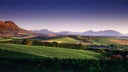 Warwick Wine Estate