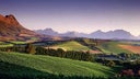Warwick Wine Estate