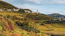 Cantina Valpolicella Negrar
