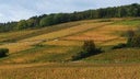 Domaine Rossignol-Trapet