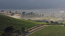 De Bortoli Wines