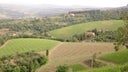 Podere Poggio Scalette