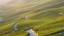Weingut Willi Schaefer