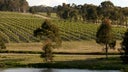 Yabby Lake Vineyard