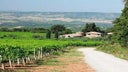 Azienda Agricola Talenti