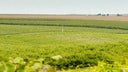 Eroica