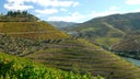 Quinta Do Crasto