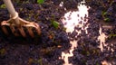 Domaine Matrot