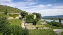 Chateau-Grillet