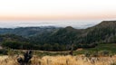 Mayacamas Vineyards