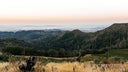 Mayacamas Vineyards