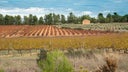 Bodegas Vicente Gandia