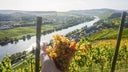 Weingut Schloss Lieser