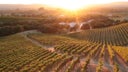 Gundlach Bundschu Winery