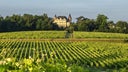 Chateau de Rayne Vigneau
